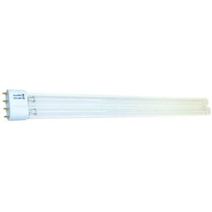 Aquaking PL Vervanglamp 55W 2G11 – AquaKing Aquaking PL Vervanglamp 55W 2G11 – AquaKing