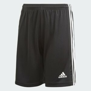 Adidas squad 21 sho y -  - Zwart - Size: 152 - Male