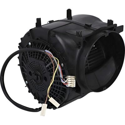 AEG Set,Motor,Ver 2024 4055995023 AEG Set,Motor,Ver 2024 4055995023