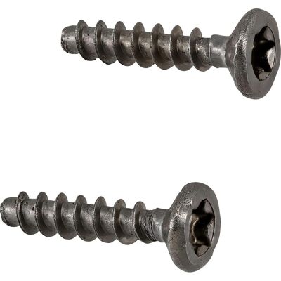 AEG Schroevenset,Slot,Inox,2X; [T2 4056045349 AEG Schroevenset,Slot,Inox,2X; [T2 4056045349