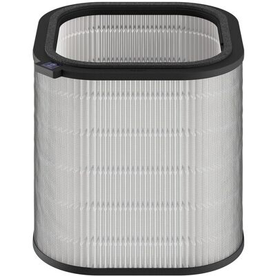 AEG EF21001 Particle Filter 9009237067 AEG EF21001 Particle Filter 9009237067