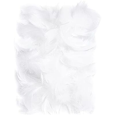Netuno Decoratieve veren 10 g donzen veren vogelveren om te knutselen Pasen decoratie Kerstmis wit 150 stuks Netuno Decoratieve veren 10 g donzen veren vogelveren om te knutselen Pasen decoratie Kerstmis wit 150 stuks