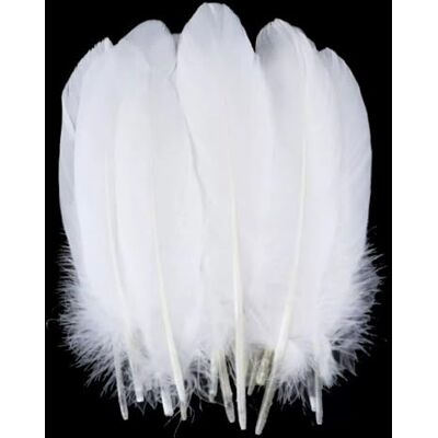 JDCMEI 100 stuks witte veren om te knutselen, natuurlijke ganzenveren, natuurlijke ganzenveren, ganzendonsveren, voor dromenvanger, doe-het-zelf, bruiloft, feest, handwerk, sieraden JDCMEI 100 stuks witte veren om te knutselen, natuurlijke ganzenveren, natuurlijke ganzenveren, ganzendonsveren, voor dromenvanger, doe-het-zelf, bruiloft, feest, handwerk, sieraden