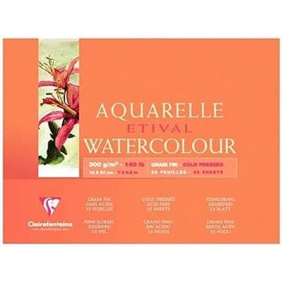 Clairefontaine 96574C blok met 4 pagina's Etival – 10 vellen aquarelpapier, wit, 100% cellulose, fijne korrel 20 x 40 cm, 300 g Clairefontaine 96574C blok met 4 pagina's Etival – 10 vellen aquarelpapier, wit, 100% cellulose, fijne korrel 20 x 40 cm, 300 g