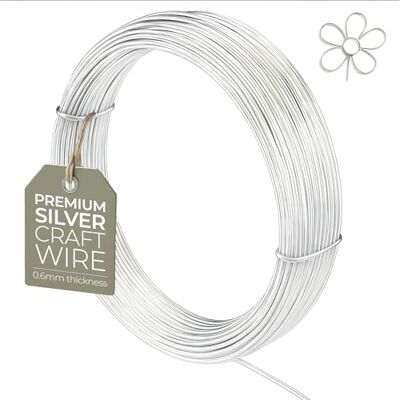 The Bead Shop Verzilverde draad voor sieraden, draadverpakkingen, beeldhouwen, knutselen, draadmodellering 0,6 mm (22 gauge) x 10 m The Bead Shop Verzilverde draad voor sieraden, draadverpakkingen, beeldhouwen, knutselen, draadmodellering 0,6 mm (22 gauge) x 10 m