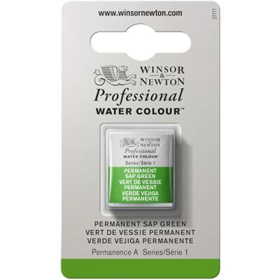 Winsor & Newton Professionele aquarelverf– Aquarelverf, hoge helderheid, lichtecht, archiefkwaliteit, halve emmer, permanente blaasgroen Winsor & Newton Professionele aquarelverf– Aquarelverf, hoge helderheid, lichtecht, archiefkwaliteit, halve emmer, permanente blaasgroen
