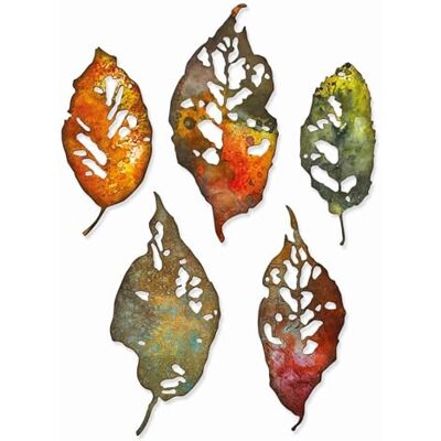 Sizzix Thinlits De set 5PK bladfragmenten van Tim Holtz, 665559 Sizzix Thinlits De set 5PK bladfragmenten van Tim Holtz, 665559