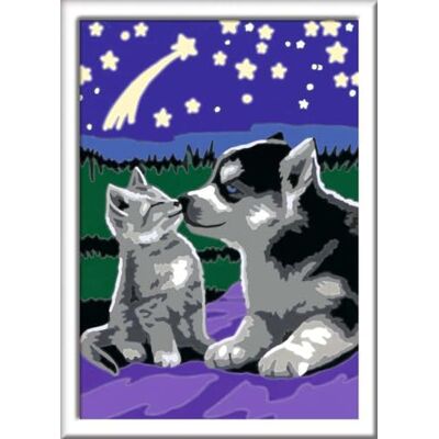 Ravensburger Schilderen op nummer 27847 hond en kat kinderen vanaf 7 jaar: met lichtkleur Ravensburger Schilderen op nummer 27847 hond en kat kinderen vanaf 7 jaar: met lichtkleur