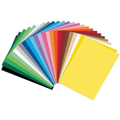 Folia 614/250 09 250 vellen fotokarton, DIN A4, 300 g/m², gesorteerd in 25 kleuren, voor het knutselen en creatief ontwerpen van kaarten, raamfoto's en voor Folia 614/250 09 250 vellen fotokarton, DIN A4, 300 g/m², gesorteerd in 25 kleuren, voor het knutselen en creatief ontwerpen van kaarten, raamfoto's en voor