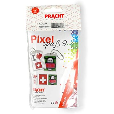 Pracht Creatives Hobby Pixel P90048-00505 Grappige knutselset 9, voor het ontwerpen van 2 sleutelhangers (medaillons) voor kinderen, eenvoudig insteeksysteem, zonder strijken of lijm, bioplastic stenen Pracht Creatives Hobby Pixel P90048-00505 Grappige knutselset 9, voor het ontwerpen van 2 sleutelhangers (medaillons) voor kinderen, eenvoudig insteeksysteem, zonder strijken of lijm, bioplastic stenen