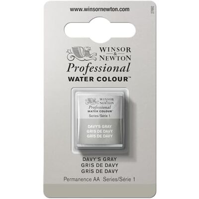 Winsor & Newton Professionele aquarelverf – Aquarelverf, hoge helderheid, lichtecht, archiefkwaliteit, halve emmer, Davy grijs Winsor & Newton Professionele aquarelverf – Aquarelverf, hoge helderheid, lichtecht, archiefkwaliteit, halve emmer, Davy grijs