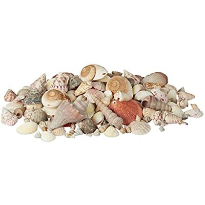 Relaxdays Schelpenset, decoratieve schelpen, mix met grote zeeslakken, schelpen, stranddecoratie, 2 kg, meerkleurig Relaxdays Schelpenset, decoratieve schelpen, mix met grote zeeslakken, schelpen, stranddecoratie, 2 kg, meerkleurig