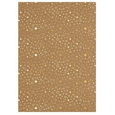 Ursus 25 vellen kerstdesignkarton met gouden sterren DIN A4, 250 g/m², eenzijdig verwerkt, ideaal voor het maken van kerstkaarten en om te knutselen Ursus 25 vellen kerstdesignkarton met gouden sterren DIN A4, 250 g/m², eenzijdig verwerkt, ideaal voor het maken van kerstkaarten en om te knutselen