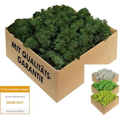 GJS IJslands mos 1 kg / 500 g / 200 g (lichtgroen/donkergroen/bosgroen) – echt geconserveerd natuurlijk mos (IJsland) om te knutselen, decoratief mos voor decoratie voor Pasen, modelbouw (donkergroen, 1 kg) GJS IJslands mos 1 kg / 500 g / 200 g (lichtgroen/donkergroen/bosgroen) – echt geconserveerd natuurlijk mos (IJsland) om te knutselen, decoratief mos voor decoratie voor Pasen, modelbouw (donkergroen, 1 kg)