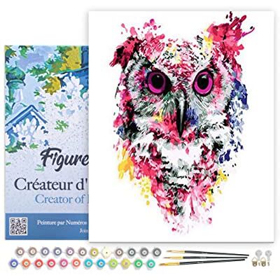 ART Schilderen op nummer moderne roze uil afmeting 40 x 50 cm op spieraam gespannen ART Schilderen op nummer moderne roze uil afmeting 40 x 50 cm op spieraam gespannen