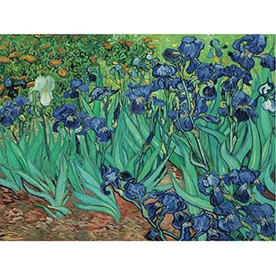 YSCOLOR Diamantschilderij, diamant, borduurwerk, Van Gogh Iris, mozaïek met diamantjes, kruissteek, steentjes, afbeelding, decoratie voor thuis, voor Kerstmis, 30 x 40 cm YSCOLOR Diamantschilderij, diamant, borduurwerk, Van Gogh Iris, mozaïek met diamantjes, kruissteek, steentjes, afbeelding, decoratie voor thuis, voor Kerstmis, 30 x 40 cm