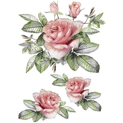 Ideen mit Herz Kleuroverdracht DIN A4 Versier textiel zoals T-shirts en tassen met strijkbare motieven snel en gemakkelijk te strijken serie bloemen & bloemen DIY design (design 02) Ideen mit Herz Kleuroverdracht DIN A4 Versier textiel zoals T-shirts en tassen met strijkbare motieven snel en gemakkelijk te strijken serie bloemen & bloemen DIY design (design 02)