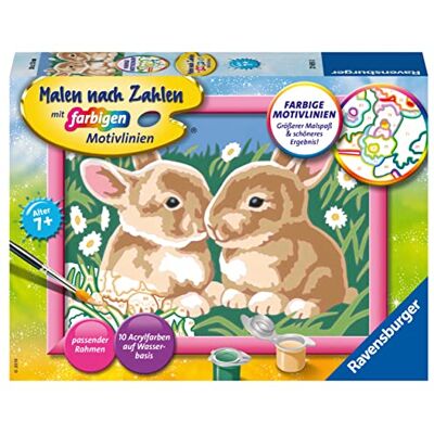 Ravensburger schilderen volgens nummer Ravensburger schilderen volgens nummer