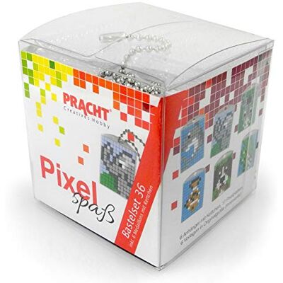 Pracht Creatives Hobby Pixel P90074-63501 leuke knutselset 36, voor het vormgeven van 6 sleutelhangers (medaillons) voor kinderen, eenvoudig insteeksysteem, zonder strijken en lijmen, steentjes van biokunststof Pracht Creatives Hobby Pixel P90074-63501 leuke knutselset 36, voor het vormgeven van 6 sleutelhangers (medaillons) voor kinderen, eenvoudig insteeksysteem, zonder strijken en lijmen, steentjes van biokunststof