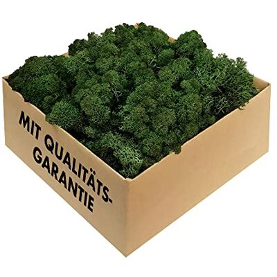 GJS IJslands mos 1kg / 500g / 200g (lichtgroen/donkergroen/bosgroen) – echt geconserveerd natuurlijk mos (IJsland) om te knutselen, decoratief mos voor decoratie voor Pasen, modelbouw (donkergroen, 500 g) GJS IJslands mos 1kg / 500g / 200g (lichtgroen/donkergroen/bosgroen) – echt geconserveerd natuurlijk mos (IJsland) om te knutselen, decoratief mos voor decoratie voor Pasen, modelbouw (donkergroen, 500 g)