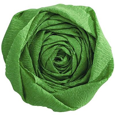Clairefontaine 903021C – verpakking met 10 vellen crêpepapier – kleur voorgroen – formaat 2,50 x 0,50 m – 60% crêpe – elastisch en robuust – creatieve vrije tijd, knutselen en knutselen Clairefontaine 903021C – verpakking met 10 vellen crêpepapier – kleur voorgroen – formaat 2,50 x 0,50 m – 60% crêpe – elastisch en robuust – creatieve vrije tijd, knutselen en knutselen