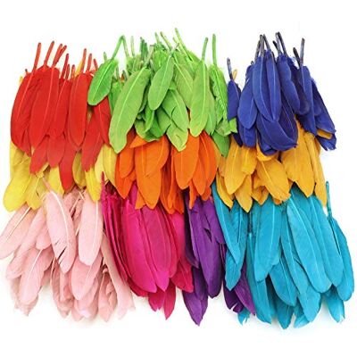 MWOOT 240 stuks kleurrijke veren, natuurlijk handwerk, ganzenveren, voor doe-het-zelf handwerk, handwerk, thuis, feest, bruiloft, babyshower, decoratie (10-15 cm) MWOOT 240 stuks kleurrijke veren, natuurlijk handwerk, ganzenveren, voor doe-het-zelf handwerk, handwerk, thuis, feest, bruiloft, babyshower, decoratie (10-15 cm)