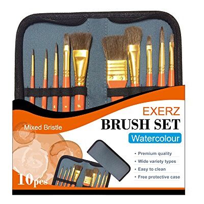 Exerz JH023 Penseelset voor schilderskunstenaar – 10 stuks professionele gemengde borstelborstels in beschermhoes / ideaal voor aquarel, acryl en gouache Exerz JH023 Penseelset voor schilderskunstenaar – 10 stuks professionele gemengde borstelborstels in beschermhoes / ideaal voor aquarel, acryl en gouache