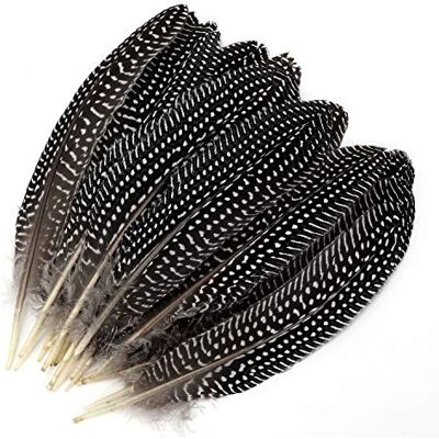 MWOOT 20 stuks natuurlijke gespecificeerde veren, fazantveren voor sieraden, handwerk en hoeddecoratie, show, vrije tijd, kunst (15-20 cm) MWOOT 20 stuks natuurlijke gespecificeerde veren, fazantveren voor sieraden, handwerk en hoeddecoratie, show, vrije tijd, kunst (15-20 cm)