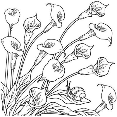 Honsell 12138 lijst met Calla-motief, formaat 30 x 30 cm, voorbedrukt motief om in te kleuren met acryl-, aquarel- en olieverf en viltstiften en kleurpotloden Honsell 12138 lijst met Calla-motief, formaat 30 x 30 cm, voorbedrukt motief om in te kleuren met acryl-, aquarel- en olieverf en viltstiften en kleurpotloden