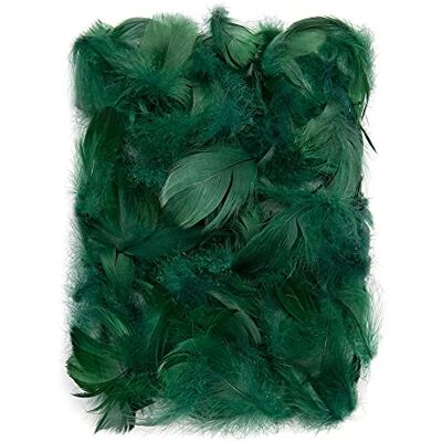 Netuno Donsveren 10g, vogelveren, knutselveren, paasdecoratie, Kerstmis, decoratie, donkergroen, 150 stuks Netuno Donsveren 10g, vogelveren, knutselveren, paasdecoratie, Kerstmis, decoratie, donkergroen, 150 stuks