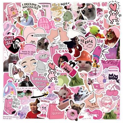 AOMZKOL 110 stuks roze stickers voor volwassenen en vrouwen, grappige vinylstickers, waterdicht, herbruikbaar, voor waterflessen, laptop, scrapbooking als cadeau AOMZKOL 110 stuks roze stickers voor volwassenen en vrouwen, grappige vinylstickers, waterdicht, herbruikbaar, voor waterflessen, laptop, scrapbooking als cadeau