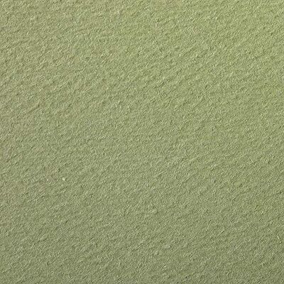 Clairefontaine Etival tekenpapier, 160 g, A4, amandelgroen, 25 vellen Clairefontaine Etival tekenpapier, 160 g, A4, amandelgroen, 25 vellen