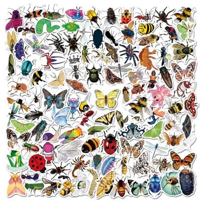 Bafanly Set waterdichte vinyl insectenstickers voor kinderen, jongens, meisjes, tieners, gemengde dieren Bafanly Set waterdichte vinyl insectenstickers voor kinderen, jongens, meisjes, tieners, gemengde dieren