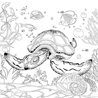 Honsell 12124 Frame met waterschildpadpatroon, formaat 30 x 30 cm, voorbedrukt motief om in te kleuren met acryl-, aquarel- en olieverf en viltstiften en kleuren Honsell 12124 Frame met waterschildpadpatroon, formaat 30 x 30 cm, voorbedrukt motief om in te kleuren met acryl-, aquarel- en olieverf en viltstiften en kleuren