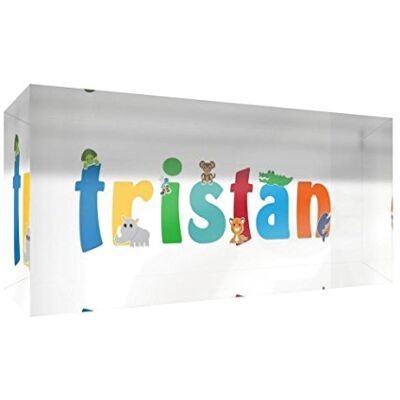Little Helper Decoratief herinneringsstuk van acryl, transparant, gepolijst als diamant, illustrator-stijl, kleurrijk, met de naam van jongens, Tristan 5 x 15 x 2 cm, klein Little Helper Decoratief herinneringsstuk van acryl, transparant, gepolijst als diamant, illustrator-stijl, kleurrijk, met de naam van jongens, Tristan 5 x 15 x 2 cm, klein