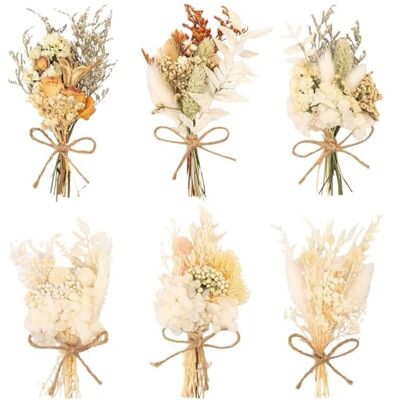 Luxvara 6 boeketten natuurlijke gedroogde bloemen, kleine decoratieve gedroogde bloemen, mini boeket natuurlijke gedroogde bloemen voor fotolijsten, bruiloftsdecoratie en feestjes thuis (stijl B) Luxvara 6 boeketten natuurlijke gedroogde bloemen, kleine decoratieve gedroogde bloemen, mini boeket natuurlijke gedroogde bloemen voor fotolijsten, bruiloftsdecoratie en feestjes thuis (stijl B)