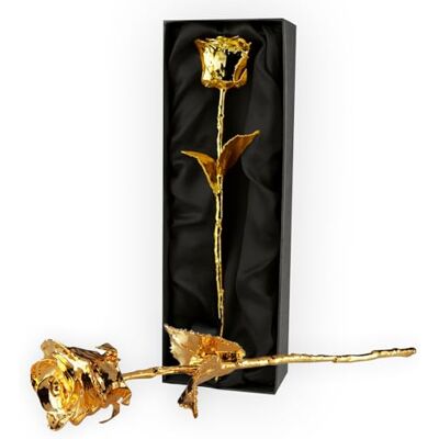 mikamax Rose d'Or 24 Karat Met echtheidscertificaat Zwarte geschenkdoos mikamax Rose d'Or 24 Karat Met echtheidscertificaat Zwarte geschenkdoos