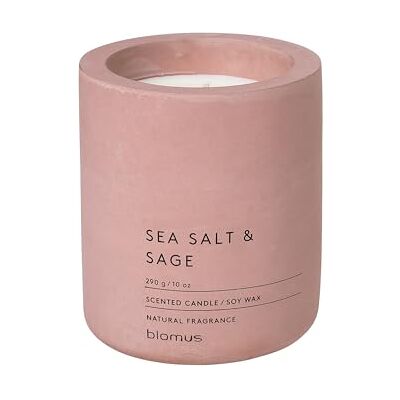 blomus RAGA-geurkaars L van sojawas, Withered Rose, hoogwaardige kamergeur, karakteristieke betonlook, geur SEA SALT & SAGE, 55 uur brandduur (H / B / D: 11 x 9 x 9 cm, Withered Rose, 65656) blomus RAGA-geurkaars L van sojawas, Withered Rose, hoogwaardige kamergeur, karakteristieke betonlook, geur SEA SALT & SAGE, 55 uur brandduur (H / B / D: 11 x 9 x 9 cm, Withered Rose, 65656)