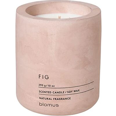blomus RAGA-geurkaars L van sojawas, Rose Dust, hoogwaardige kamergeur, karakteristieke betonlook, geur FIG, 55 uur brandduur, bijzonder roetarm (H / B / D: 11 x 9 x 9 cm, Rose Dust, 65655) blomus RAGA-geurkaars L van sojawas, Rose Dust, hoogwaardige kamergeur, karakteristieke betonlook, geur FIG, 55 uur brandduur, bijzonder roetarm (H / B / D: 11 x 9 x 9 cm, Rose Dust, 65655)