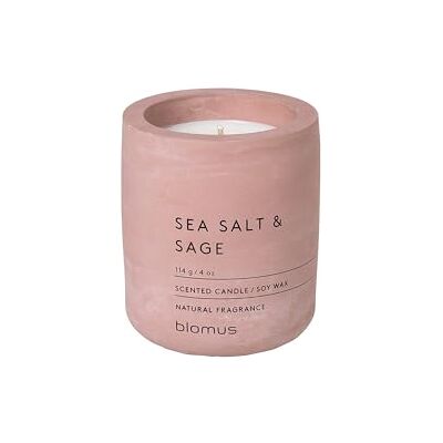 blomus RAGA-geurkaars S van sojawas, Withered Rose, hoogwaardige kamergeur, karakteristieke betonlook, geur SEA SALT & SAGE, 24 uur brandduur (H / B / D: 8 x 6,5 x 6,5 cm, Withered Rose, 65651) blomus RAGA-geurkaars S van sojawas, Withered Rose, hoogwaardige kamergeur, karakteristieke betonlook, geur SEA SALT & SAGE, 24 uur brandduur (H / B / D: 8 x 6,5 x 6,5 cm, Withered Rose, 65651)