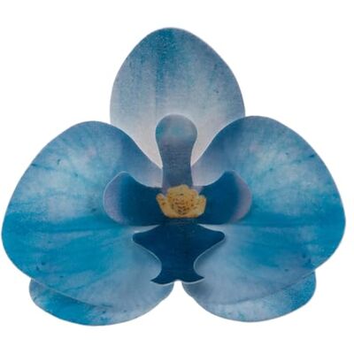 dekora Eetbare orchideebloem voor taartdecoratie, 7,5 8,5 cm, kleur blauw 10 bloemen, 126151 dekora Eetbare orchideebloem voor taartdecoratie, 7,5 8,5 cm, kleur blauw 10 bloemen, 126151