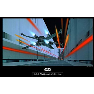 Komar Wandafbeelding Star Wars Classic RMQ Death Star Trench tienerkamer wanddecoratie zonder lijst WB134 40 x 30 Afmetingen: 40 x 30 cm (breedte x hoogte) Komar Wandafbeelding Star Wars Classic RMQ Death Star Trench tienerkamer wanddecoratie zonder lijst WB134 40 x 30 Afmetingen: 40 x 30 cm (breedte x hoogte)