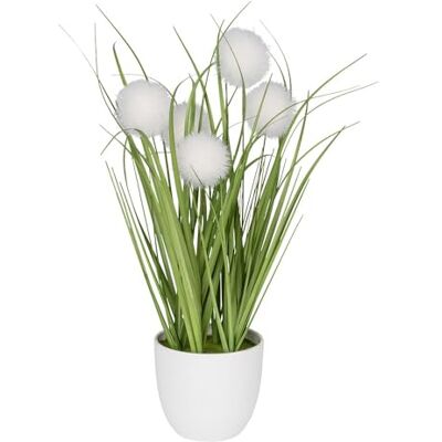 Ideen mit Herz Decoratief knoopgras, kunstplant met pot, 30 cm hoog (witte bloemen) Ideen mit Herz Decoratief knoopgras, kunstplant met pot, 30 cm hoog (witte bloemen)