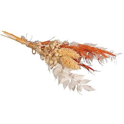 Rayher Boeket gedroogde bloemen, oranje/natuurlijke tinten, mini, 18-20 cm, echt gedroogd, decoratie 85491210 Rayher Boeket gedroogde bloemen, oranje/natuurlijke tinten, mini, 18-20 cm, echt gedroogd, decoratie 85491210