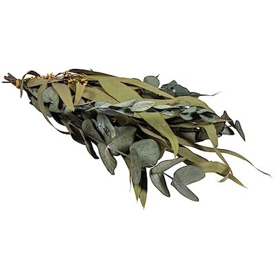 Rayher Eucalyptustakken, boeket met papieren hoes, 30-35 cm, gedroogde bloemen, natuurlijke decoratie, gedroogde eucalyptusbladeren, eucalyptusbladdecoratie, 85493000 Rayher Eucalyptustakken, boeket met papieren hoes, 30-35 cm, gedroogde bloemen, natuurlijke decoratie, gedroogde eucalyptusbladeren, eucalyptusbladdecoratie, 85493000