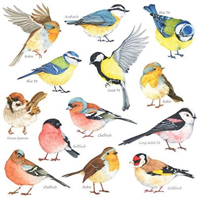 DECOWALL DS-8038 Kleine Vogels Muursticker Wanddecoratie Muurstickers Woonkamer Kinderkamer Kinderkamer (Klein) DECOWALL DS-8038 Kleine Vogels Muursticker Wanddecoratie Muurstickers Woonkamer Kinderkamer Kinderkamer (Klein)
