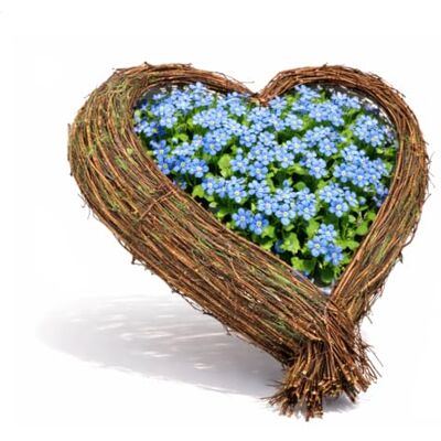com-four ® Hartvormige bloembak, decoratieve rieten mand, plantenmand met folie binnenin, om te planten of als decoratieve plantenbak, 1 stuk, 38 x 40 cm, groen jardinière décorative ou cache pot naturel com-four ® Hartvormige bloembak, decoratieve rieten mand, plantenmand met folie binnenin, om te planten of als decoratieve plantenbak, 1 stuk, 38 x 40 cm, groen jardinière décorative ou cache pot naturel