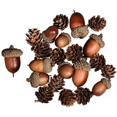 Rayher 55922000 mix eikelkegels ass. 2-4cm, kunststof kerstdecoratie, 27 stuks, naturel Rayher 55922000 mix eikelkegels ass. 2-4cm, kunststof kerstdecoratie, 27 stuks, naturel