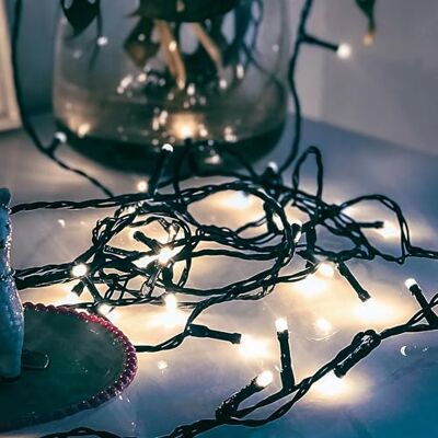 Hellum 560411 Led-lichtketting voor buiten of binnen, koud wit, led-lichtketting met 40 leds, kerstboomverlichting met groene kabel, < 59 lm Hellum 560411 Led-lichtketting voor buiten of binnen, koud wit, led-lichtketting met 40 leds, kerstboomverlichting met groene kabel, < 59 lm
