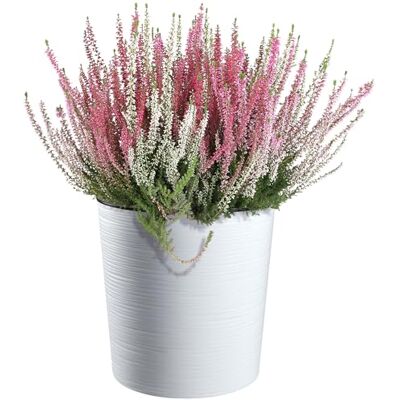 KADAX Bloempot Ø 30 cm met houtsnippers, elegante bloempot met inzetstuk, tuinpot, bloempotbescherming voor woonkamer, kantoor (wit) KADAX Bloempot Ø 30 cm met houtsnippers, elegante bloempot met inzetstuk, tuinpot, bloempotbescherming voor woonkamer, kantoor (wit)